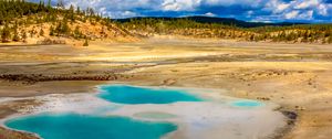 Preview wallpaper pond, steppe, trees, nature