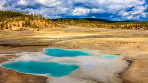 Preview wallpaper pond, steppe, trees, nature