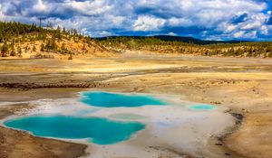 Preview wallpaper pond, steppe, trees, nature