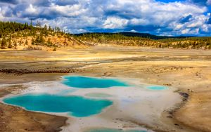 Preview wallpaper pond, steppe, trees, nature