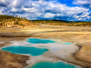 Preview wallpaper pond, steppe, trees, nature