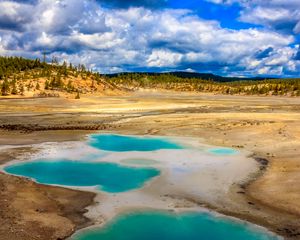 Preview wallpaper pond, steppe, trees, nature