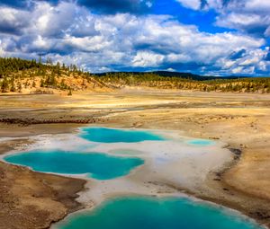 Preview wallpaper pond, steppe, trees, nature