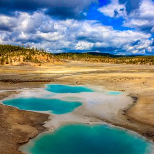 Preview wallpaper pond, steppe, trees, nature