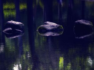 Preview wallpaper pond, stones, reflection, nature, dark