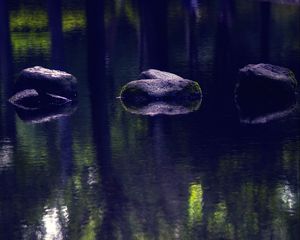 Preview wallpaper pond, stones, reflection, nature, dark