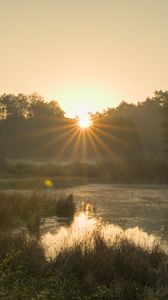 Preview wallpaper pond, sunrise, landscape, trees, water, nature