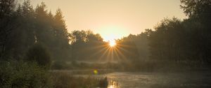 Preview wallpaper pond, sunrise, landscape, trees, water, nature