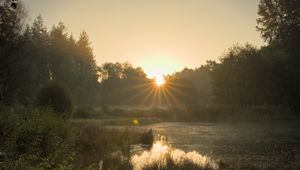 Preview wallpaper pond, sunrise, landscape, trees, water, nature