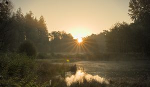 Preview wallpaper pond, sunrise, landscape, trees, water, nature