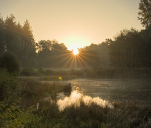 Preview wallpaper pond, sunrise, landscape, trees, water, nature