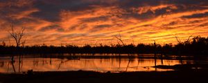 Preview wallpaper pond, trees, clouds, evening