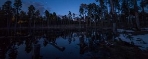 Preview wallpaper pond, trees, forest, logs, night, stars