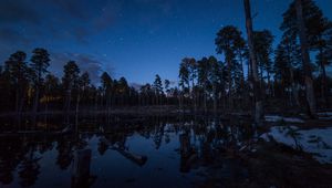 Preview wallpaper pond, trees, forest, logs, night, stars