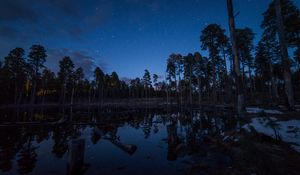 Preview wallpaper pond, trees, forest, logs, night, stars