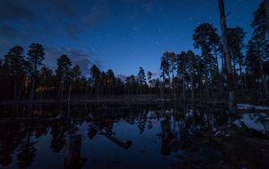 Preview wallpaper pond, trees, forest, logs, night, stars