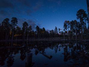 Preview wallpaper pond, trees, forest, logs, night, stars