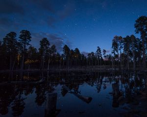 Preview wallpaper pond, trees, forest, logs, night, stars