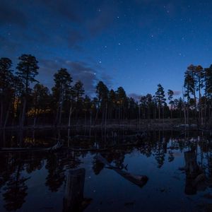 Preview wallpaper pond, trees, forest, logs, night, stars