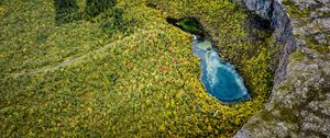 Preview wallpaper pond, trees, forest, crater, aerial view, nature