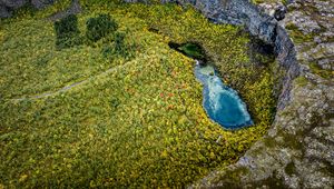 Preview wallpaper pond, trees, forest, crater, aerial view, nature