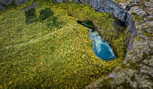 Preview wallpaper pond, trees, forest, crater, aerial view, nature