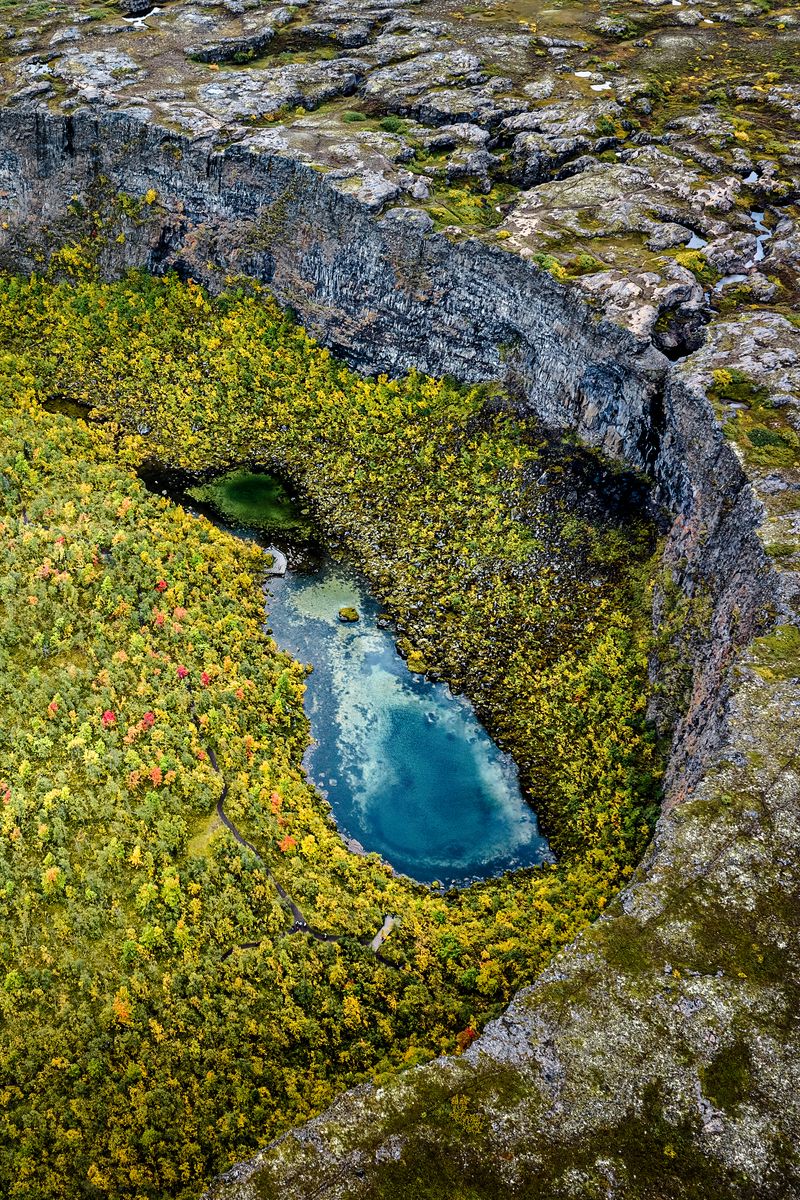 800x1200 Wallpaper pond, trees, forest, crater, aerial view, nature