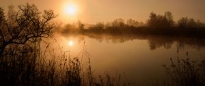 Preview wallpaper pond, trees, grass, fog, dark