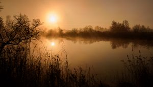 Preview wallpaper pond, trees, grass, fog, dark