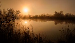 Preview wallpaper pond, trees, grass, fog, dark