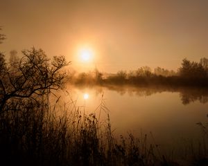 Preview wallpaper pond, trees, grass, fog, dark