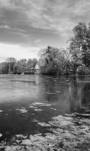Preview wallpaper pond, trees, house, nature, black and white
