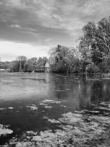 Preview wallpaper pond, trees, house, nature, black and white