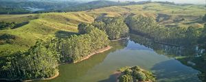 Preview wallpaper pond, trees, island, hills, nature