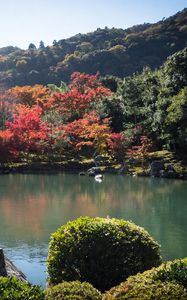 Preview wallpaper pond, trees, landscape, nature