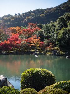 Preview wallpaper pond, trees, landscape, nature