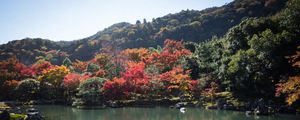 Preview wallpaper pond, trees, landscape, nature