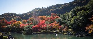 Preview wallpaper pond, trees, landscape, nature