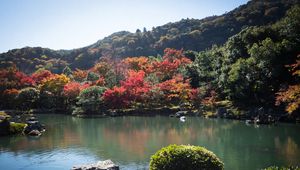 Preview wallpaper pond, trees, landscape, nature