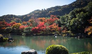 Preview wallpaper pond, trees, landscape, nature