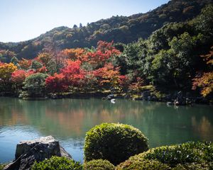 Preview wallpaper pond, trees, landscape, nature