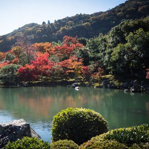 Preview wallpaper pond, trees, landscape, nature