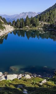 Preview wallpaper pond, trees, mountains, landscape