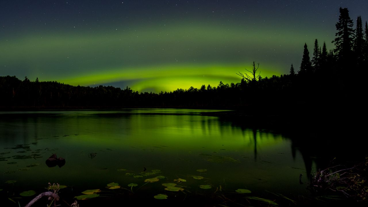 Wallpaper pond, trees, night, northern lights, dark