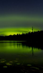 Preview wallpaper pond, trees, night, northern lights, dark