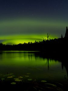 Preview wallpaper pond, trees, night, northern lights, dark