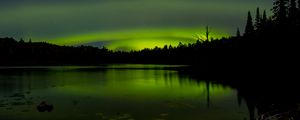 Preview wallpaper pond, trees, night, northern lights, dark