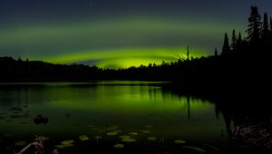 Preview wallpaper pond, trees, night, northern lights, dark