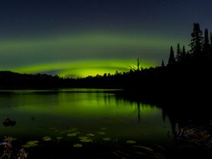 Preview wallpaper pond, trees, night, northern lights, dark