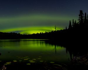 Preview wallpaper pond, trees, night, northern lights, dark